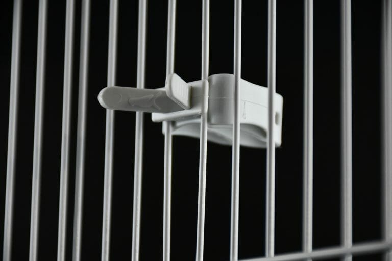 PINZA-2.jpg